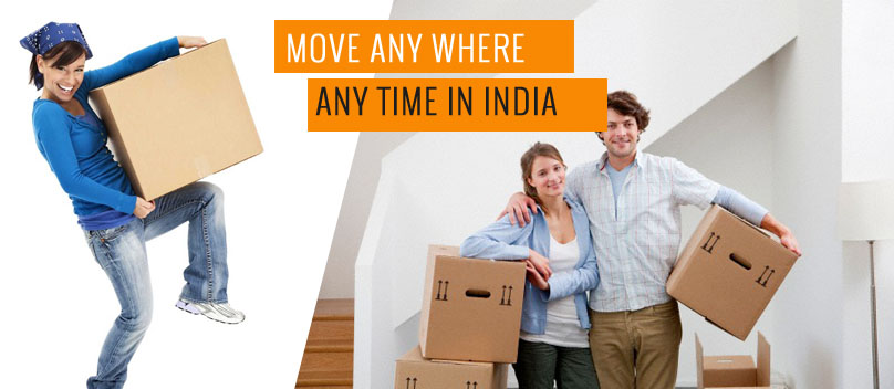 Packing and Moving Service